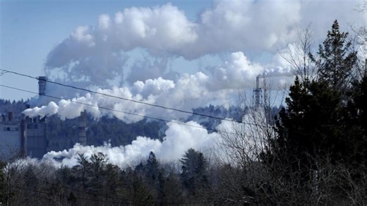 Woodland Pulp pausing mill operations until end of December