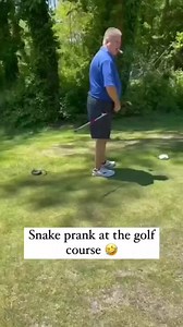 260K views · 4.7K reactions | Snake  prank #prank #snakeprank #funnyvideo | genivideo | Facebook