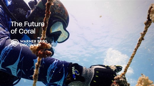 19K views · 383 reactions | In the northern Red Sea, coral reefs...