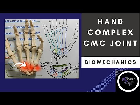 CARPO METACARPAL JOINT ( HAND COMPLEX BIOMECHANICS)Physiotherapy