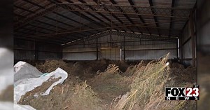 Tulsa County man indicted after AG's Organized Crime Task Force seized 72,000 lbs of marijuana