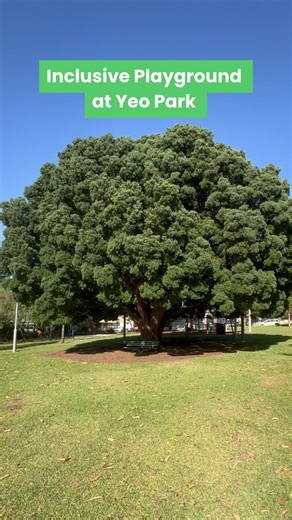 Yeo Park is the home of our next inclusive playground! 🎉 The upgrade will feature: 🛝 Play areas for all ages with options for individual and group play 💦 New water play 🍖 BBQ and picnic areas🍖 🥦 Sensory pathway around the beloved broccoli tree and The new playground will also be fully fenced. Works are scheduled for completion in May 2026 (weather permitting). Find out more about our inclusive playgrounds: www.innerwest.nsw.gov.au/inclusive-playgrounds | Inner West Council