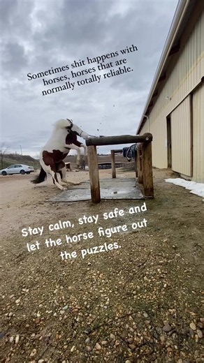 I am going to share this again, because it brings up a good point of discussion. Just because it’s dramatic doesn’t immediately mean it has to be traumatic!!!! Stop for a moment and just mull that over please. Dramatic is not the same as traumatic. Traumatic is defined as : psychologically or emotionally stressful in a way that can lead to serious mental and emotional problems. Meaning traumatic situations lead to ongoing serious problems. This mare never pulled back again and was never afraid o