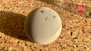 Amazon rolls out Alexa’s male counterpart Ziggy, users can now switch between two voices