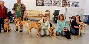 Become a puppy raiser for Saint Francis Service Dogs