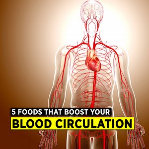 8.6K views · 575 reactions | 5 Foods that boost Blood Circulation #Health #science #medical | Doctor ASKY | Facebook