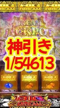【ビッグドリーム】投資40万円ついに引いた！逆回転ロングフリーズ新台スマスロ