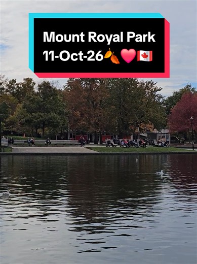 I believe all Montrealers are in Mount Royal park today. Happy thanksgiving😁🍂🇨🇦❤️ #thanksgiving #montreal #mtl #canada_life🇨🇦 #fyp