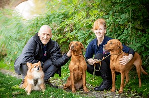 Dog Walker Norwich, Pet Sitter, Dog Boarding | We Love Pets