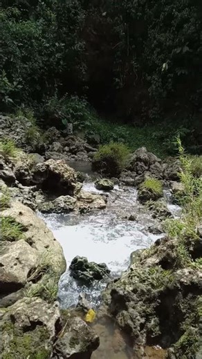 Hidden Tropical Waterfall | Air Terjun Hutan dan Sungai Alam Tenang
