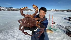 Catching & Eating ARCTIC King Crab in Norway