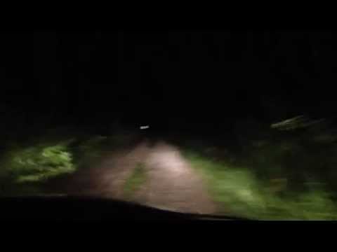 Driving an old dirt road winding through the woods in New England at night.