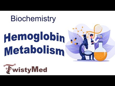 Hemoglobin Metabolism | part 2 & MCQ