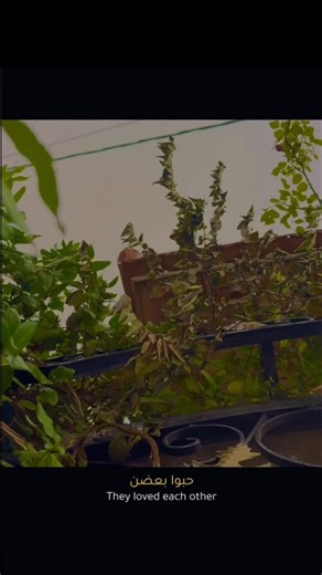 Mohammad~Nababteh🇯🇴 on Instagram‎: "تحت الشتي🍂☔️ rainydays **# تصوير #شتا# explore فيروز #اكسبلور# #اكسبلورر #غيوم #fy tO #rain #nathuralphotograpy #followforfollow #photographer #foryou #followme fypage #fyp #photos #photographe ال الالم #اكسبلور explore #اكسبلورر #الاردن #عمان #السلط alsalt #al_salt #alsaltcity #jordans# السلط# #السلط_الأردن #السلط_سلطانه #السلط_عمان_الزرقاء_معان_أربد_المفرق_الكرك_عجلون_جر ش_الحسا_القويره_المريغه_العقبه_زي_جلعد_الجادور #تصوير #فوتغرافي 