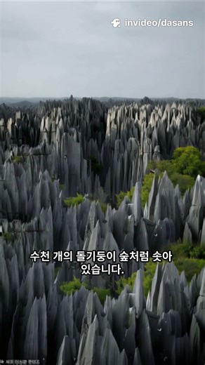 If someone falls, it's over... The world's most dangerous forest