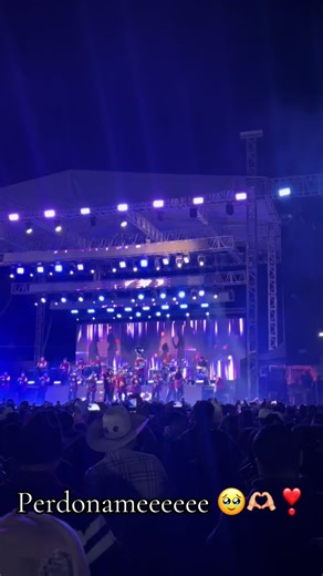 Perdóname: Reflexiones sobre errores y vida