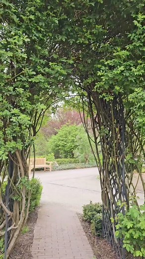 Spring in Warsaw Botanical Garden 🪻🌸🌺 #discoverwarsaw #travelbucketlist #traveleurope #spring #wiosna #beautifuldestinations #ig_europe #bestcitybreaks | Go to Warsaw