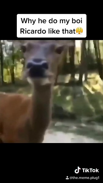 REUPLOAD to see if my account will still get views‼️ #fyp #foryoupage #viral