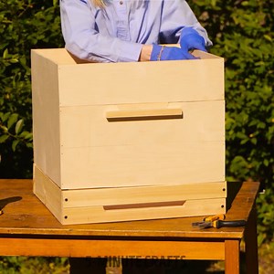 377K views · 5.5K reactions | Make your own bees house and harvest honey! | 5-Minute Crafts Play | Facebook