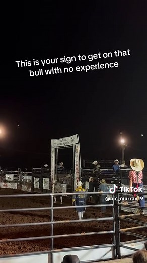 Bull Riding for Beginners: Get Started with No Experience