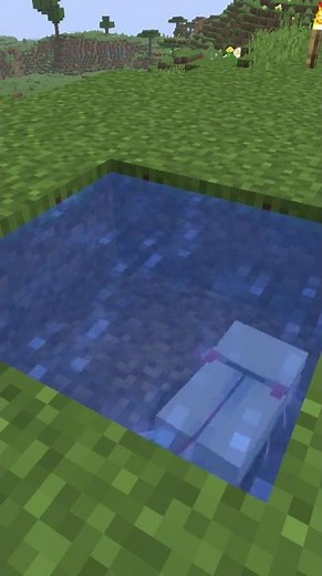 The Axolotl Song |Minecraft Hardcore | #nearlycute_ auf #Twitch