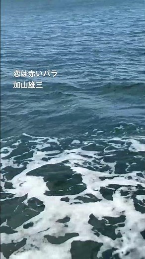 恋は赤いバラ 加山雄三