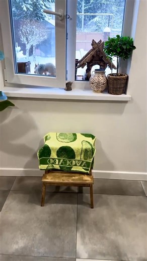 417K views · 11K reactions | Squirrel Animals Pets #Squirrel #animals #pet #Squirrels #pets | Animal Lover | Facebook