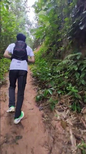 Menyisir lorong bukit Madei #nature #bukitmadei #hiking #dayhike #malasyia #anakrantau