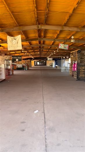 The grounds may be empty now, but Thanksgiving morning just got a new tradition. 🤎 FIRST MONDAY will be open, and the market turns into the perfect holiday stroll, warm drinks, early gift shopping, and every kind of booth you can imagine. If you’re hosting family or traveling through East Texas, this is one of the easiest places to spend a few peaceful hours before the big meal. People are already looking up where to go, what’s open, and which holiday markets are worth the drive. Handmade goods