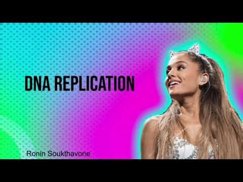 DNA Replication - Video Edit/Slideshow