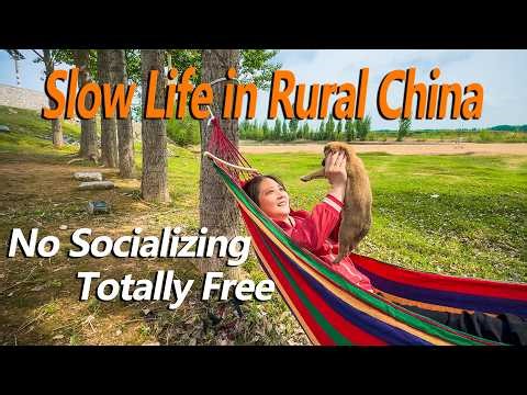 A Weekend Without Socializing | Living Alone in Rural China with My Rescued Puppy