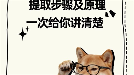 Trizol 法提取 RNA 步骤