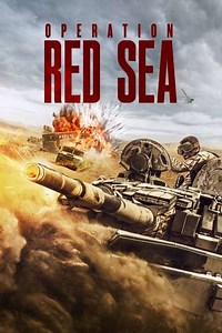 Operation Red Sea (2018) - Movie