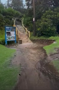 185K views · 883 reactions | Welcome to Shelly Falls  Huw Gill at Shelly Beach Manly today | Manly Observer | Facebook