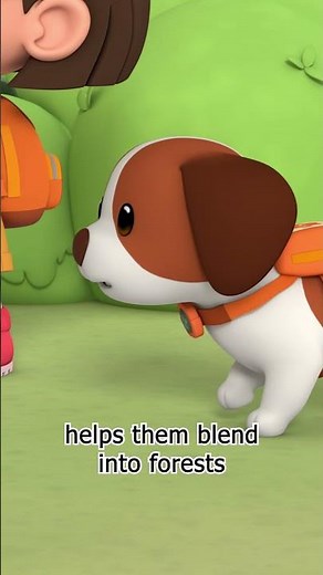 Storing 100 Acorns in Its Mouth! 🐿️ | Leo the Wildlife Ranger | #shorts #education #kids