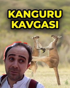 Bu gezimde, önce Avustralya Melbourne'e yakın sayılan Sovereign Hill kasabasına gittim ve bir dönem nasıl yaşatılır bizzat yerinde gördüm. Akabinde, Ballarat Wildlife Park'a gittim. Burada hem kangurular ile hem de diğer canlılar ile zaman geçirdim. Avustralya'daki kangurulara dokunup, özellikle sinirlendiklerinde kaşınıyorlarsa kaçmak pek akıllıcadır. Videoda uzunca izleyebilirsiniz. | Birhayalinpesinde