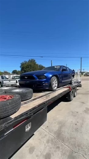 Mr Jack on Instagram: "2013 ford mustang in for partout! Complete front end, leather interior, and much much more on this stang! Let us know what you need off of this beauty #mustang #mustanggt #mustangfanclub #mustangnation#mustanglife mustanglovers fordmustang mustangaddicts mustangmagazine mustangweek mustangclub mustangmonday mustangcobra mustanglifestyle mustanglove"