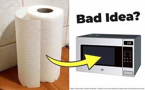 Can Paper Towels Go in the Microwave? 6 Things to Know - I Am Going Vegan