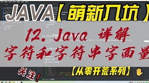 12. Java 详解字符和字符串字面量