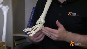 8.4K views · 76 reactions | // Vertical Joint Orientation in the Foot...