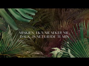 Demi Lee Moore - Dalk Is Liefde Te Min (Lirieke Video)