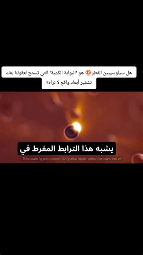 فيزياء الكم والسايكيديليك #pourtoi #فيزياء_الكم #الشعب_الصيني_ماله_حل😂😂 #الفطر_السحري #السيلوسيبين