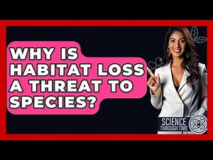 Why Is Habitat Loss A Threat To Species? - Science Through Time
