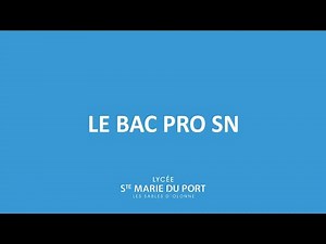 Le Bac pro SN