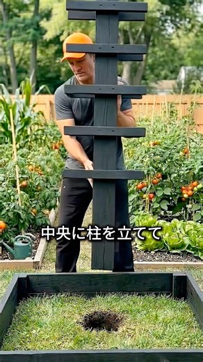 カボチャを空中で育ててしまう理由