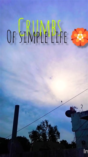 🏵️][ Life lately in tiny clips 🖇️ ][🏵️🙏#trending #shorts #shortvideo #minivlog #viral #vlog#ytshorts