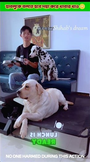 I have to tell Hablu to please eat 😳