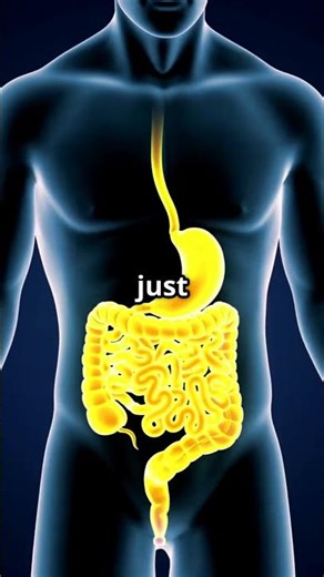 How Poliovirus Invades the Human Body