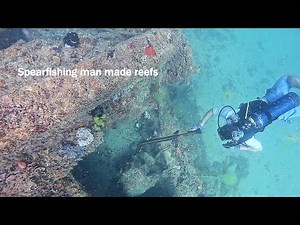 Spearfishing artificial reefs crystal river florida