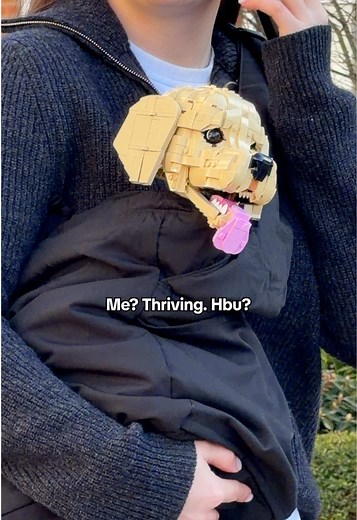 LEGO Dog Living Her Best Life